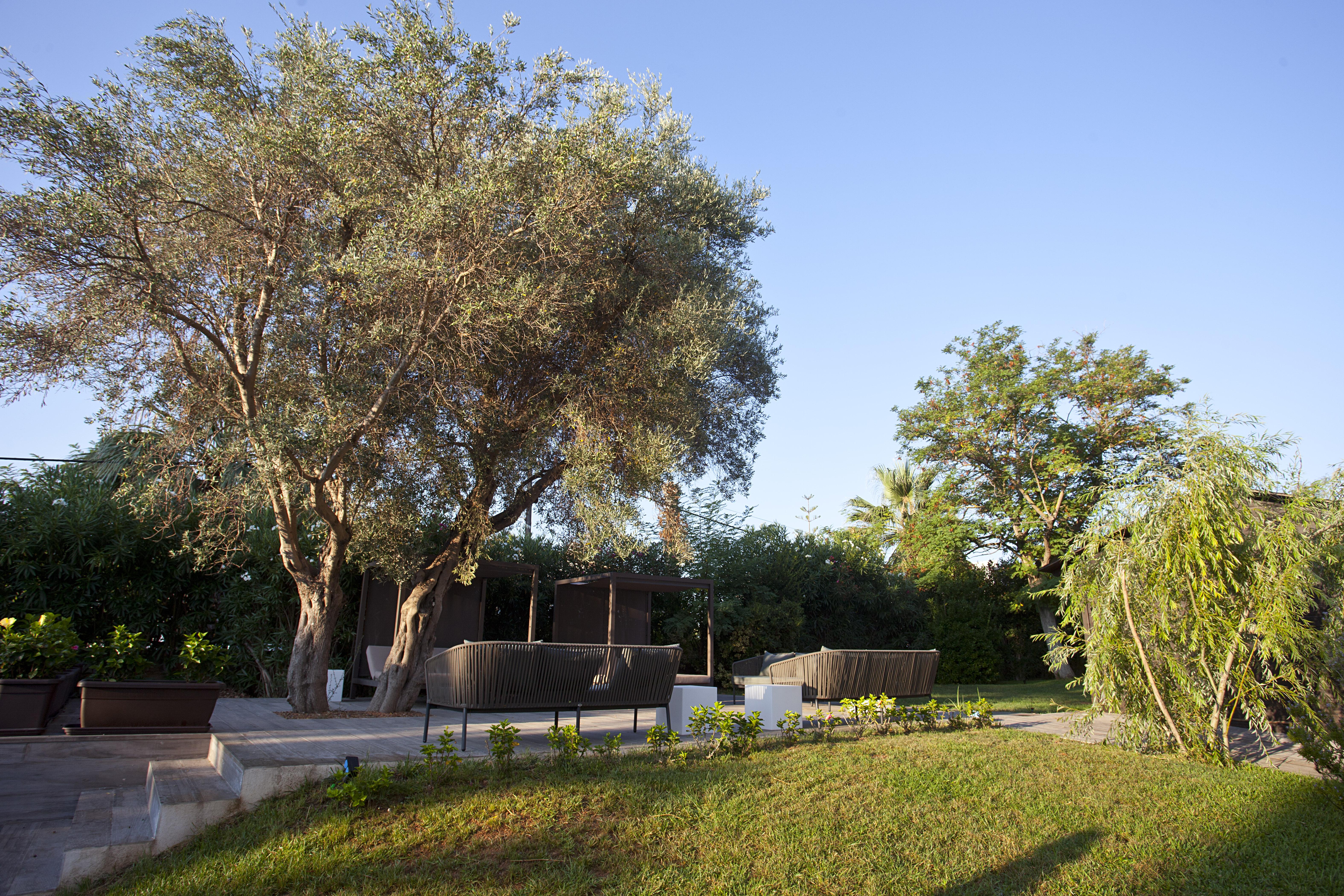 Hotel Bahia Pollensa Порт де Пойенса Екстериор снимка